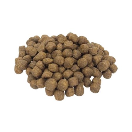 Pro Performance Adult-Medium Large Somonlu Açık 1 Kg