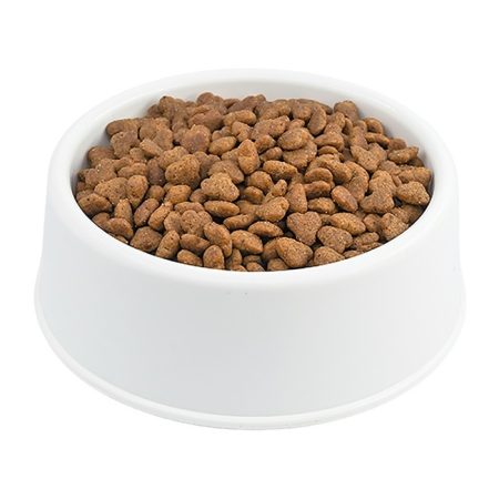 Pro Performance Mini Somon Etli & Yabanmersinli Küçük Irk Yetişkin Köpek Maması Açık