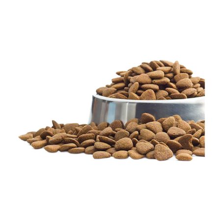 Pro Plan Medium Somonlu Açık Yetişkin Köpek Maması