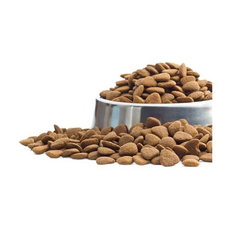 Royal Canin Açık Yetişkin Köpek Maması