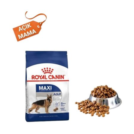 Açık Royal Canin Maxi Adult Büyük Irk Köpek Maması